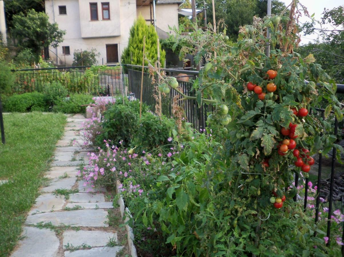 Apartament Filyra Pilion Zewnętrze zdjęcie