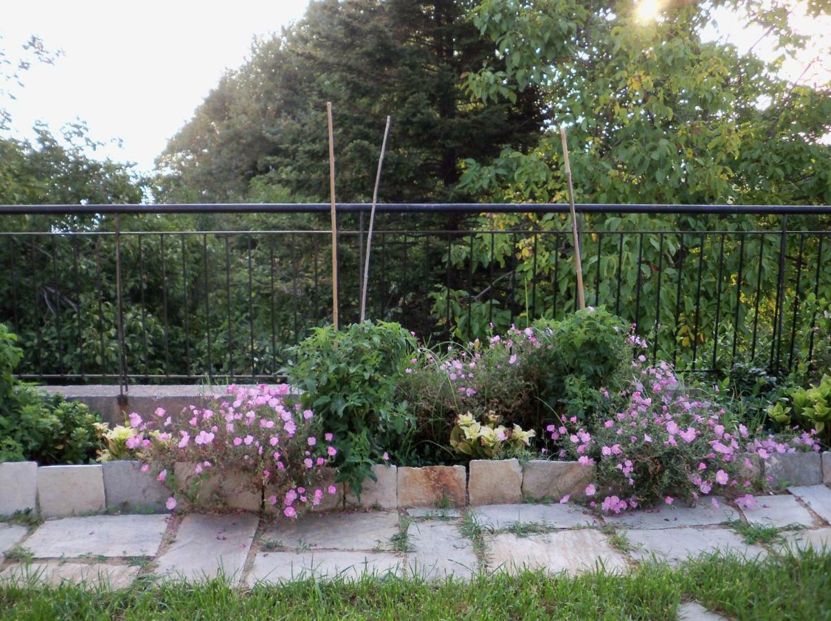 Apartament Filyra Pilion Zewnętrze zdjęcie